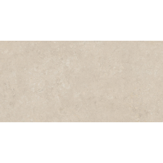 Picture of Roca - Savoy 24 x 48 Fiorito Beige