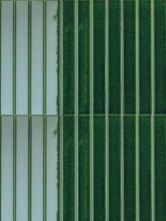 Picture of Sartoria - Pulse Flat Moss