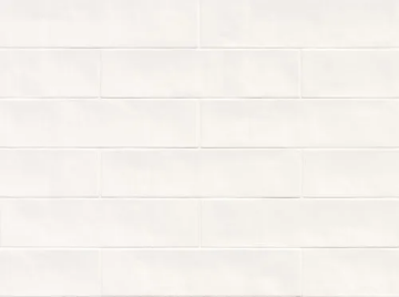 Picture of Gazzini - Color Art 2.5 x 10 White Matte