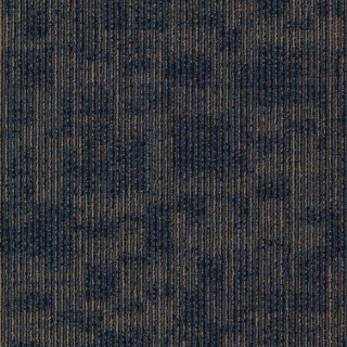 Picture of Aladdin Commercial - Cool Calm Awareness