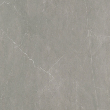 Picture of Emser Tile - Sterlina II 24 x 24 Polished Dove
