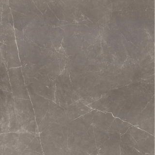 Picture of Emser Tile - Sterlina II 24 x 24 Polished Henna