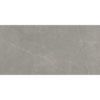Picture of Emser Tile - Sterlina II 12 x 24 Polished Dove
