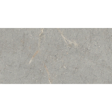 Picture of Emser Tile - Terramor 12 x 24 Grigio