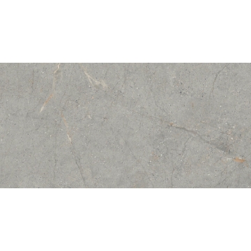 Picture of Emser Tile - Terramor 24 x 47 Grigio