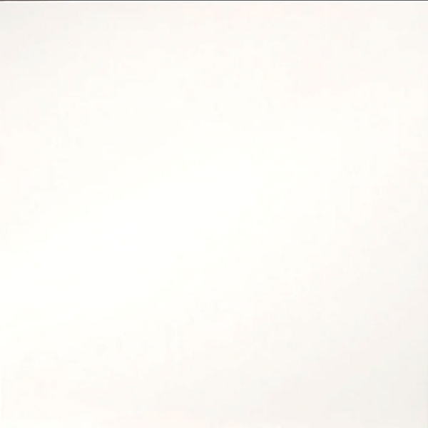 Picture of Emser Tile - Times Square 24 x 24 White Polished