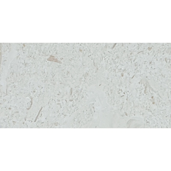 Picture of Tesoro - Pietra Antica Antiqued Stones 4 x 8 Sand Key Shellstone