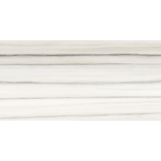 Picture of Tesoro - Mayfair 12 x 24 Matte Zebrino Grigio