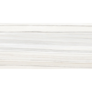 Picture of Tesoro - Mayfair 24 x 48 Polished Zebrino Grigio