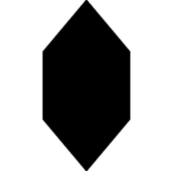 Picture of Tesoro - Kayak Picket Black