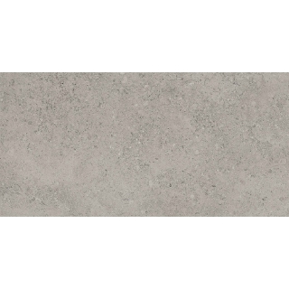Picture of Tesoro - Shellstone 12 x 24 Grey