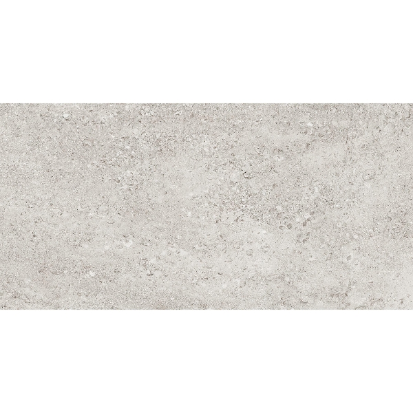 Picture of Tesoro - Shellstone 24 x 48 White