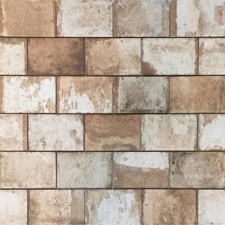 Picture of Tesoro - Havana 16 x 16 Cohiba