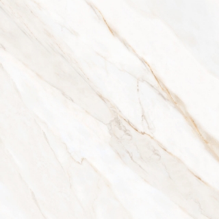 Picture of Tesoro - Icaro 28 x 28 Calacatta Oro Matte