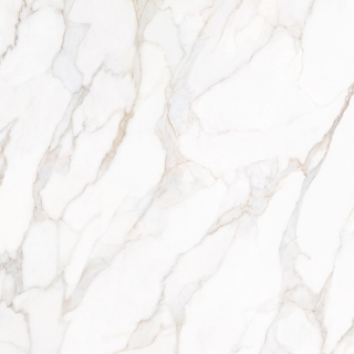 Picture of Tesoro - Paonazzo 36 x 36 Calcatta Gold Polished