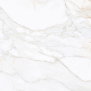 Picture of Tesoro - Paonazzo 24 x 24 Calcatta Gold Polished