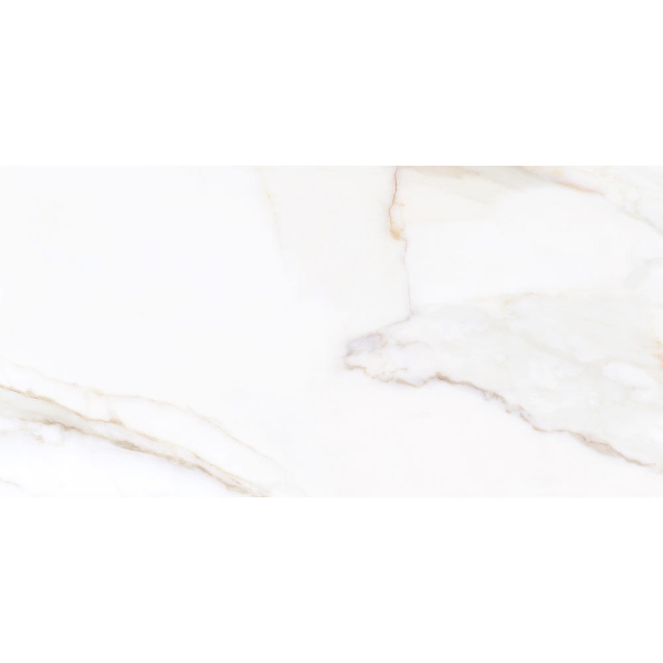 Picture of Tesoro - Paonazzo 12 x 24 Calacatta Gold Matte