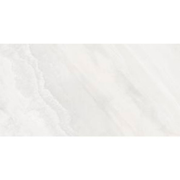 Picture of Tesoro - Delray II 12 x 24 Alaska Polished