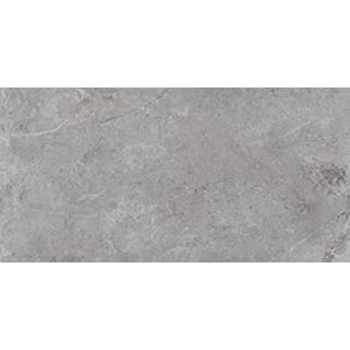 Picture of Tesoro - Evolution 12 x 24 Grey