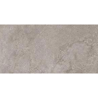 Picture of Tesoro - Evolution 24 x 48 Sugar