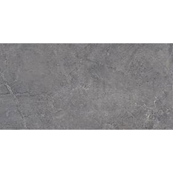 Picture of Tesoro - Evolution 24 x 48 Titanium