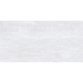 Picture of Tesoro - Origin 12 x 24 Silver