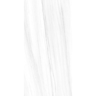 Picture of Tesoro - Lucca 24 x 48 Dolomite Polished