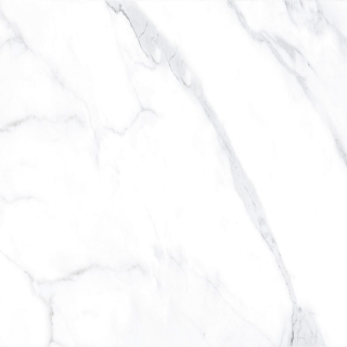 Picture of Tesoro - Lucca 24 x 24 Statuario Matte