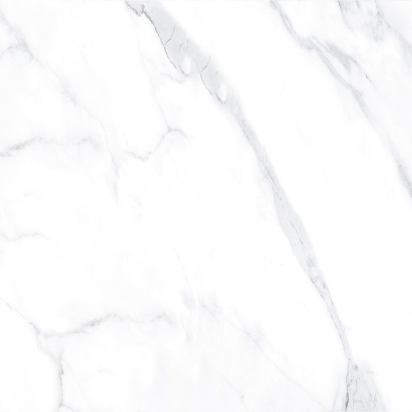 Picture of Tesoro - Lucca 24 x 24 Statuario Matte