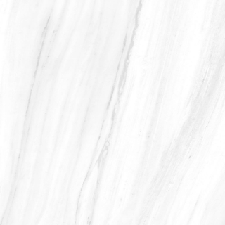 Picture of Tesoro - Lucca 24 x 24 Dolomite Polished