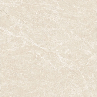 Picture of Tesoro - Lucca 24 x 24 Crema Marfil Polished