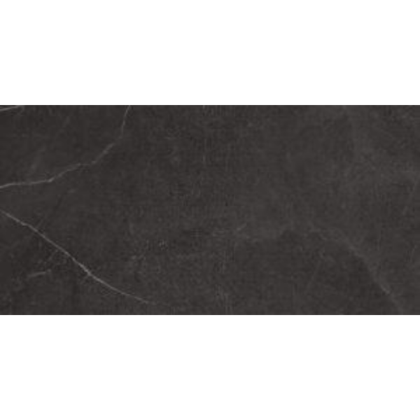Picture of Tesoro - La Marca 24 x 48 Matte Nero Venato