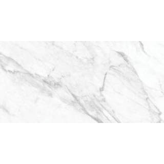 Picture of Tesoro - La Marca 24 x 48 Polished Statuarietto