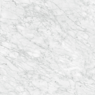 Picture of Tesoro - La Marca 24 x 24 Polished Carrara Gioia