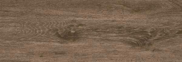 Picture of Tesoro - Albero Pianta