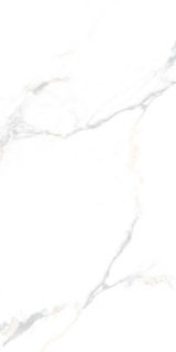 Picture of Tesoro - Cora 24 x 48 Calacatta