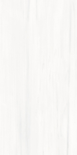 Picture of Tesoro - Dolomina 24 x 48 Polished White