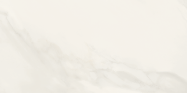 Picture of Tesoro - Nova 12 x 24 Matte Bianco Covelano A