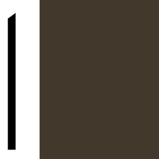 Picture of Shaw Contract - 149VS Wall Base Dark