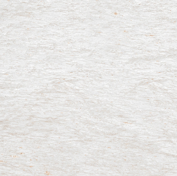 Picture of Emser Tile - Xtra Plus Pavers 23 x 23 Otani Silver