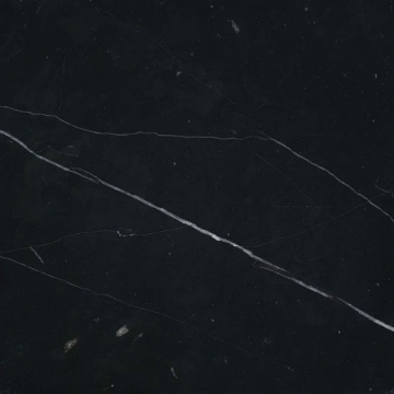 Picture of Emser Tile - Marble 12 x 12 Polished Marquina