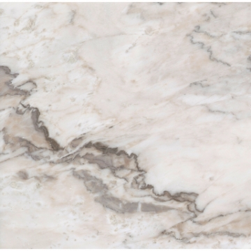Picture of Emser Tile - Marble 24 x 24 Honed Lenza Fiore
