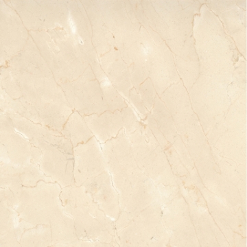 Picture of Emser Tile - Marble 24 x 24 Polished Crema Marfil Plus