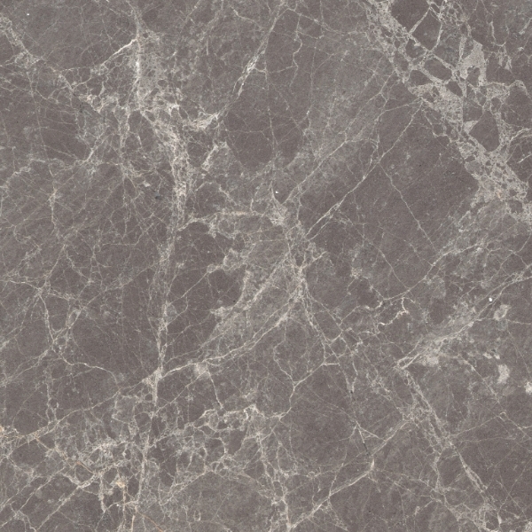 Picture of Emser Tile - Marble 9 x 9 Polished Emperador Gray