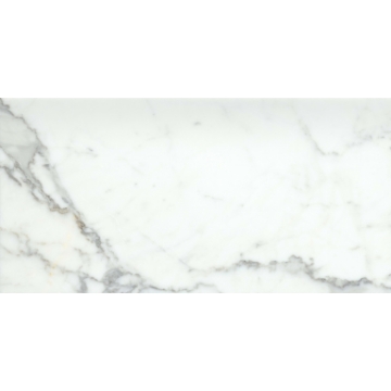 Picture of Emser Tile - Marble 12 x 24 Honed Calacata Oro