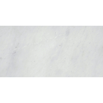 Picture of Emser Tile - Marble 12 x 24 Polished Winter Frost