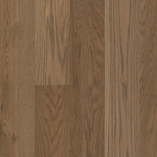 Picture of Anderson - Buckingham York