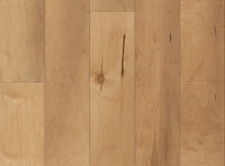 Picture of Anderson - Ellison Maple Charismatic