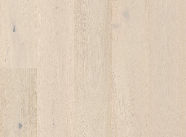 Picture of Anderson - Grand Estate Ashton Court