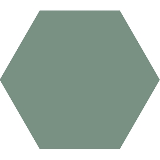 Picture of Codicer - Hex 25 Basic Kale